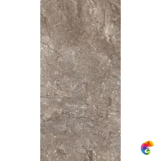 6405 Stone Grey Polished 60x120 (46,08)