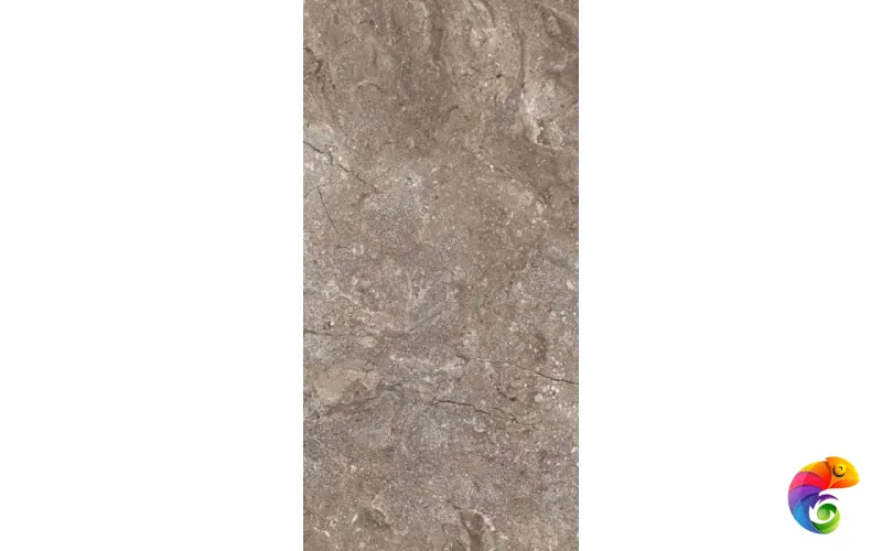 6405 Stone Grey Polished 60x120 (46,08)