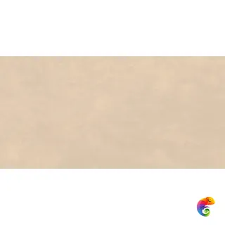 K958168R0001VTSR 60X120 Баланс Латте Матовый R10A Ректификат 60х120