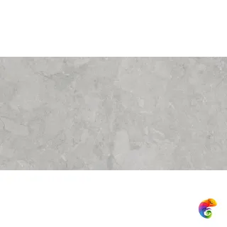 Taran Grey Digital Soft 60X120