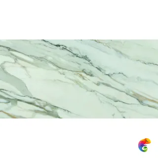 Arabescato Corchia Matt Rect 60x120