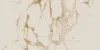 Calacatta Gold Pol. Rect 60x120