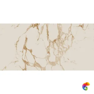 Calacatta Gold Pol. Rect 60x120
