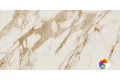 Calacatta Gold Pol. Rect 60x120