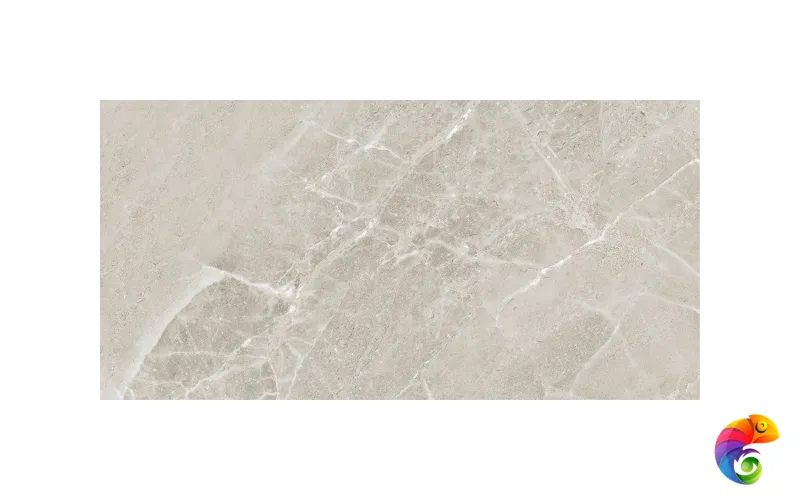 Colemanite Stone Grey Rect 60x120