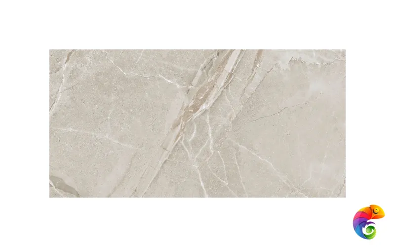 Colemanite Stone Grey Rect 60x120