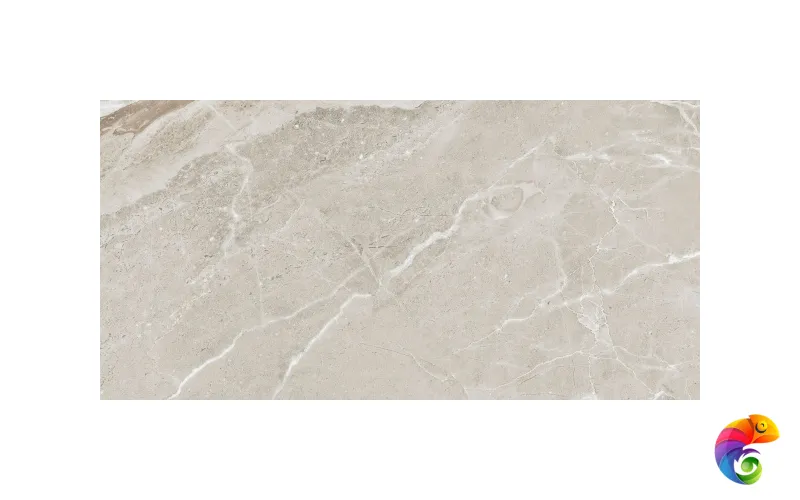 Colemanite Stone Grey Rect 60x120