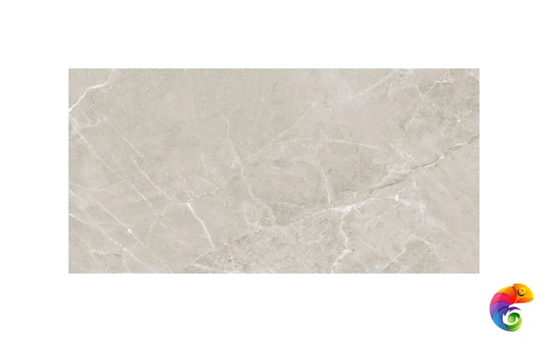 Colemanite Stone Grey Rect 60x120