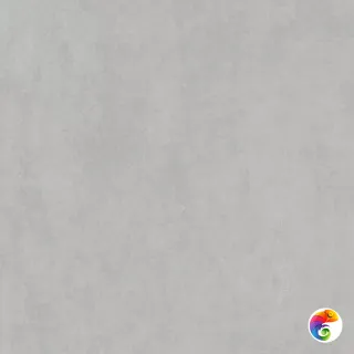 DD841190R Про Догана серый светлый матовый обрезной 80x80x0,9 80x80