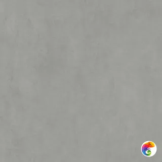 DD841290R Про Догана серый матовый обрезной 80x80x0,9 80x80