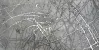 Decor Bright Silver 30х60