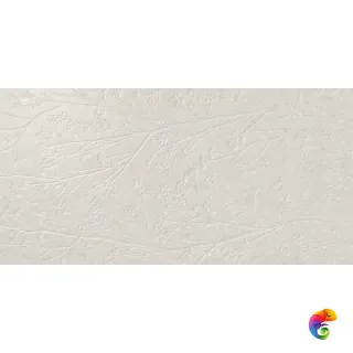 Divine White Rect 60x120