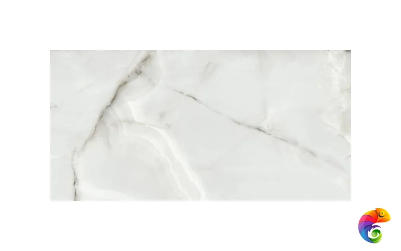 Fenix Gris 60x120