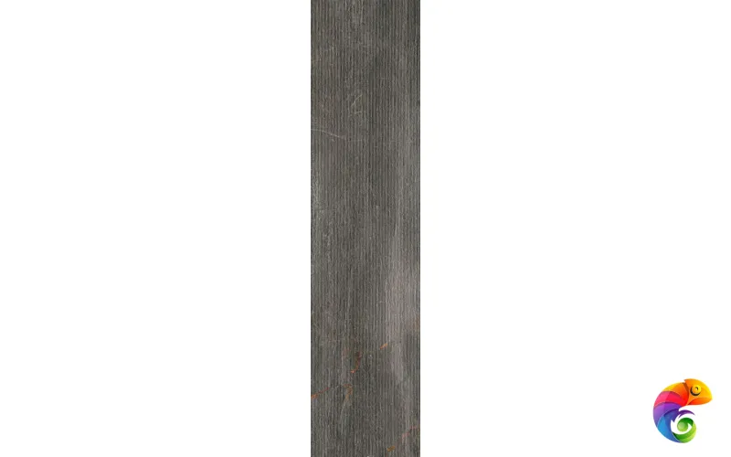 Fossil Lines Piombo Ret 30x120 