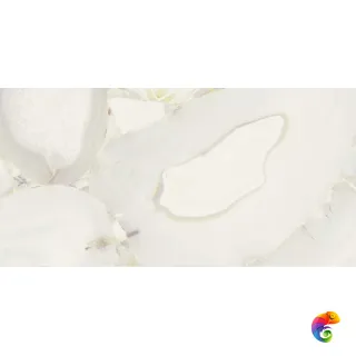 Grandiosa Avorio Lapp Rett 60x120 (36уп)