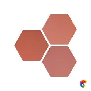 Hexa Six Coral 14x16