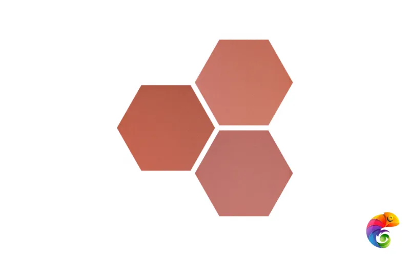 Hexa Six Coral 14x16
