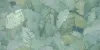 I864 Multiforme Foliage 40х80 RT