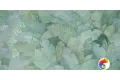 I864 Multiforme Foliage 40х80 RT