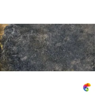 Iconic Oxido 60x120