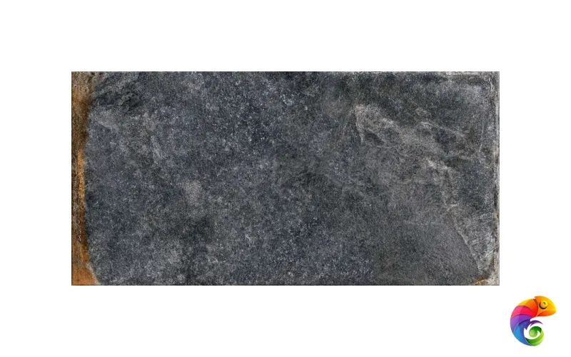 Iconic Oxido 60x120