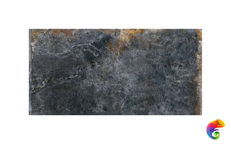 Iconic Oxido 60x120