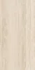 In Cream Nat Rett 60х120 (39уп)
