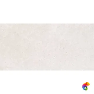 K948597R0001VTER SandStone Белый Мат R10A 60x120