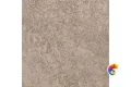 K949782R0001VTE0 Stone-X Тауп Матовый 60х60