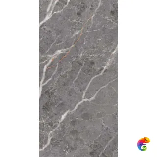 Lava Grey Polished 60x120 (48,96)