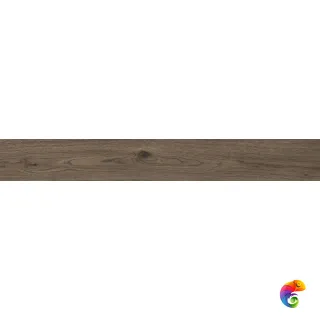 MN97 Vivo Castano Rett. 20x150
