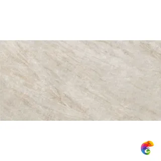 Oyster Grey Ret 60х120