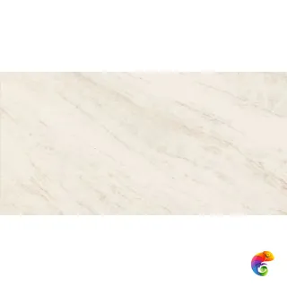 Oyster White Ret 60х120