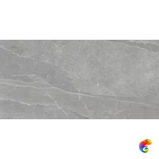 Pietra di Lavagna Argento 60x120