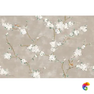 RC5M Mixed Rosa Decoro Fiori di Pesco Rett. 40x120 (A+B)