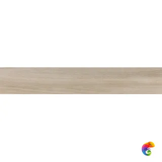 Rainier Arena 20x120 (44уп)