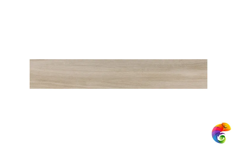 Rainier Arena 20x120 (44уп)