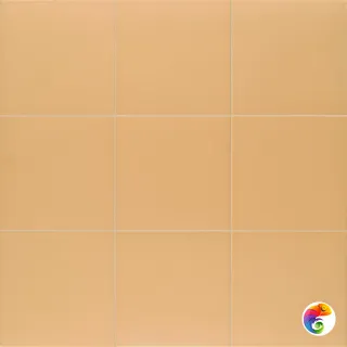 Technical Tangerine 20х20