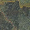 Vivid Green Rainforest Pulido 59,55x59.55