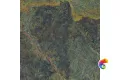 Vivid Green Rainforest Pulido 59,55x59.55