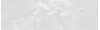 Vivid White Calacatta Floret 29.75x99.55 (44уп)