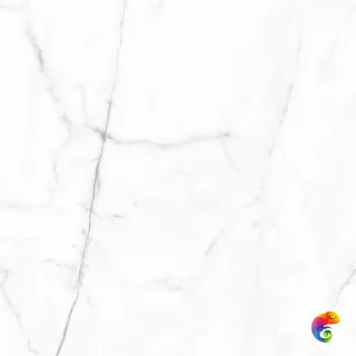 Vivid White Calacatta Pulido 59,55x59.55