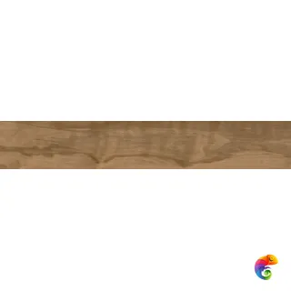 Walnut Tan 20x120