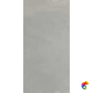 Xbeton Concrete Grey Rett 60х120