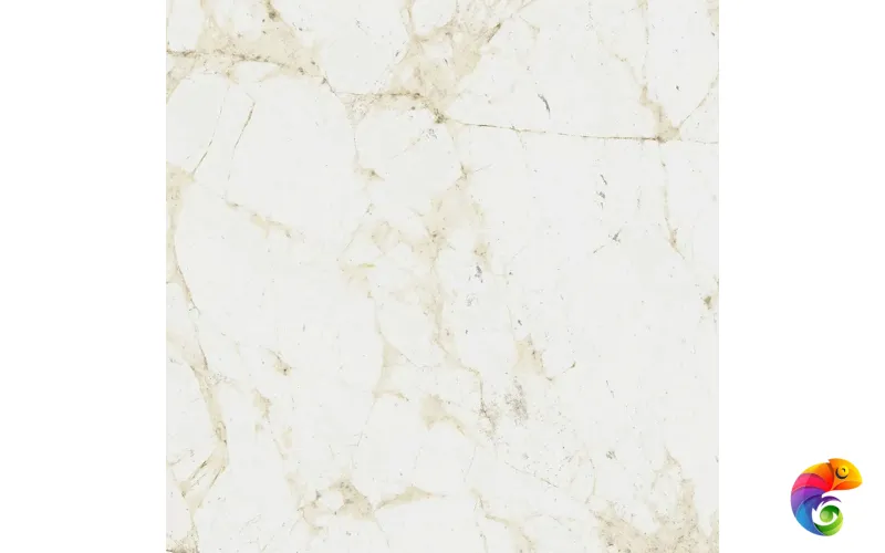 Coliseum Canova Керамогранит White 60x60 натуральный 610010005761 КА-00050781