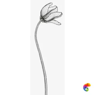 Bardelli Tuli-Charme Декор 4 80x220 глазурованный глянцевый TCHARM4 16645