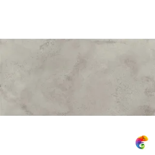 Coliseum Monza  Grey 60x120 натуральный 610010004076 КА-00054837