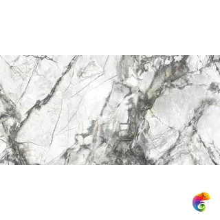 Dogma Project Antibacterial  Invisible Solid Levigato 60x120 полированный DPA601225P КА-00050113