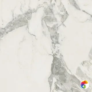Coliseum Michelangelo  Cold 60x60 натуральный 610010002749 КА-00044858