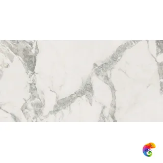 Coliseum Michelangelo  Cold 60x120 натуральный 610010002746 КА-00044855